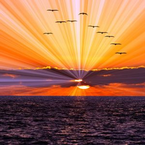 Meditation: Durchbruch der Dunkelheit