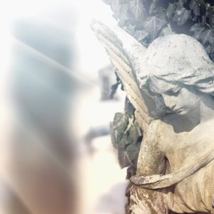 Online-Vortrag - Tod, warum bist du in mein Leben gekommen